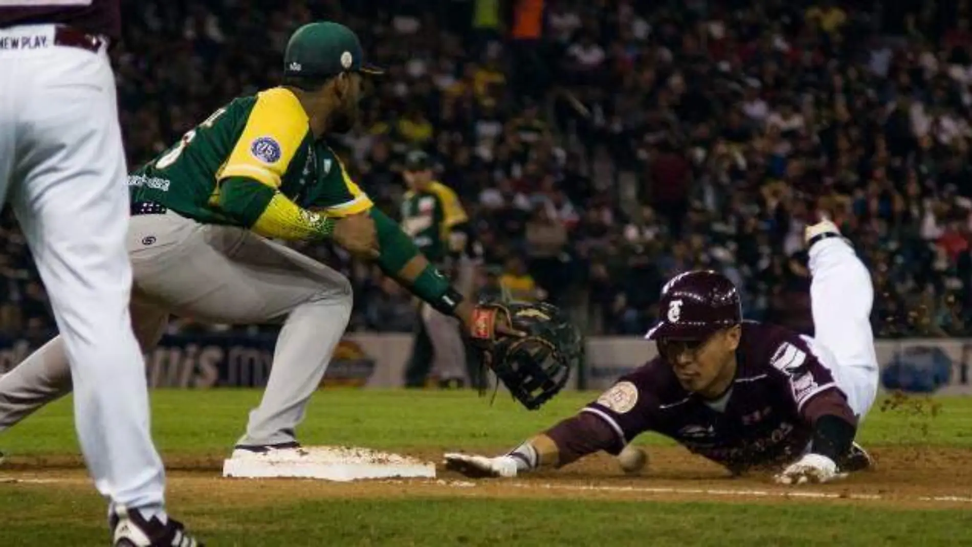 TOMATEROS PORTADA